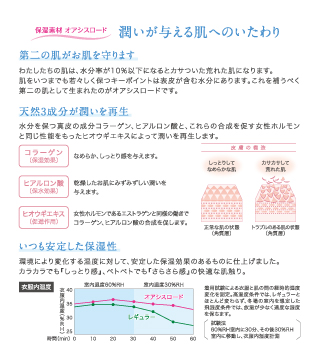 オアシスロードについて